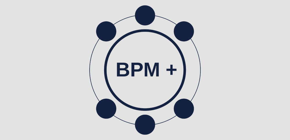 BPM+ y Tripanko, dos proyectos que sustentan la estrategia Build to Grow